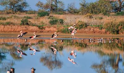 Hiking the highlights of the Algarve — 4