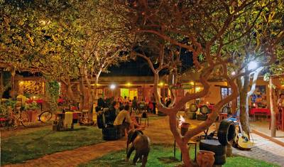 Excursion package Etosha National Park — 4