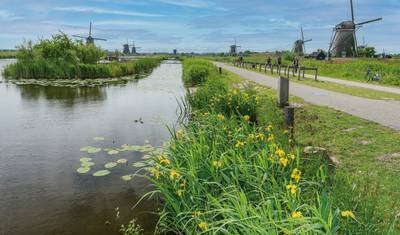 MS Normandie - South Holland — 4