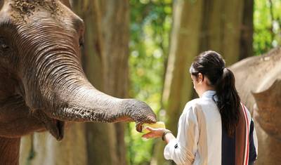 Highlights of Northern Thailand (Superior option) — 3