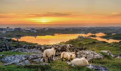 Celtic Treasures of Ireland — 3
