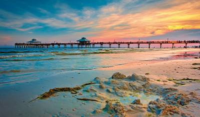 Florida Sunshine State & Beach (Superior option, City View) — 4