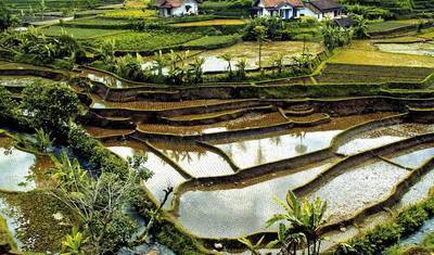 Treasures of Indonesia (group tour) — 4