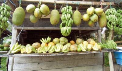 Jamaica's colorful diversity — 4