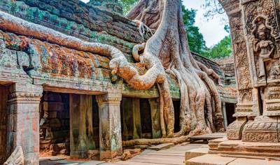 Cambodia's temples and Dream beaches (group tour) — 4
