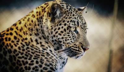 Namibia pełna kontrastów — 4