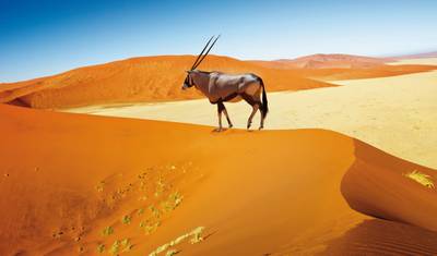 Namibia pełna kontrastów — 5