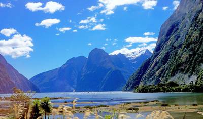 South Pacific Wonders including New Zealand's North Island (Cairns to Queenstown) (2026) — 2