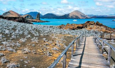 Highlights of the Galapagos - 14 days — 5