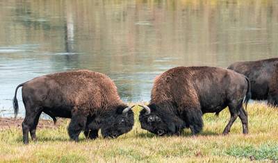 Glacier National Park & the Rockies - 7 days — 2