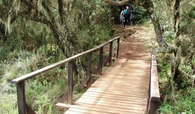 Climb Mt.Kilimanjaro via Marangu Route — 2