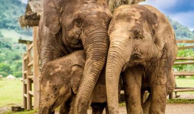 Timeless Wonders of Thailand and Cambodia in 12 Days - hosted by Analia Cerbino — 4