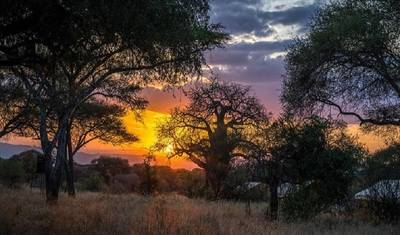 Maravilhosos 5 dias: Parque Nacional do Serengeti à Cratera de Ngorongoro — 3