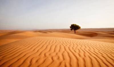 Oman - Between desert and Mountains - Guided Private Tour — 3
