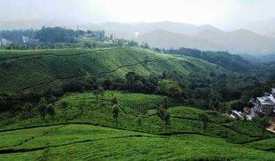 7-Days Private Kerala Tour with Sightseeing!! — 4