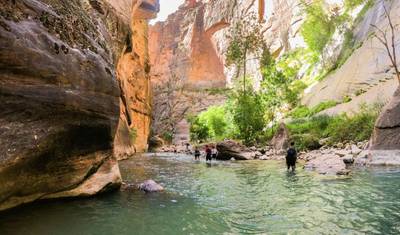 Excursão Privada de Um Dia ao Zion Canyon — 4