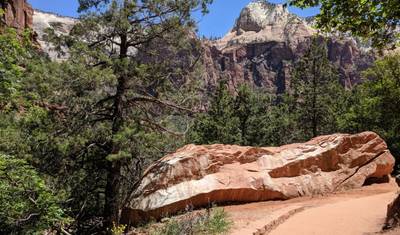 Excursão Privada de Um Dia ao Zion Canyon — 5