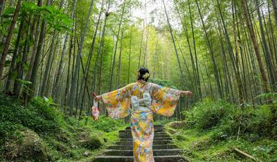Japan Heritage & Culture Journey in 14 Days — 2
