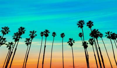 Best of Cali Express - 3日間 — 5