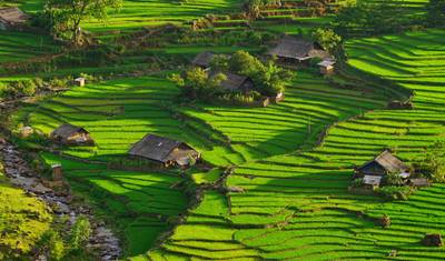 Vietnam's Highlights in 14 Days — 3