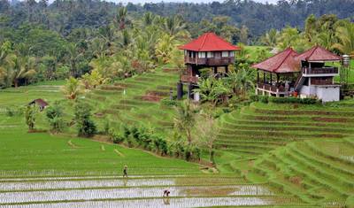 5 Dias em Bali, incluindo Tour Instagram de Bali: Templo Lempuyang, Cachoeira Goa Raja e Mais — 3