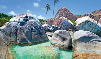 Vibes of the Virgin Islands — 2