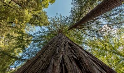 Best of the Pacific Northwest — 5