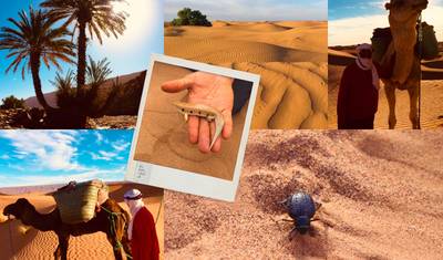 Viagem ao deserto de Ouarzazate a Erg Chegaga 1 noite — 4
