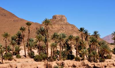Viagem ao deserto de Ouarzazate a Erg Chegaga 1 noite — 5