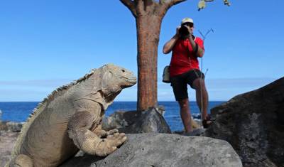 Najważniejsze atrakcje między Machu Picchu a Galapagos — 3