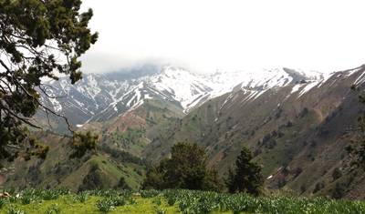 6-Day Chimgan Uzbekistan Trekking Tour — 4