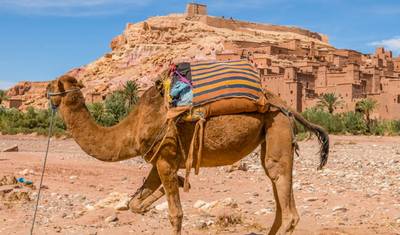 جولة الصحراء الخاصة لمدة 3 أيام من مراكش إلى كثبان مرزوگا مع رحلة ركوب الجمال — 2