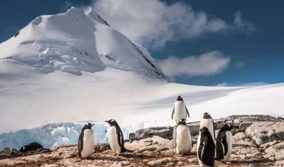 Antarctic Peninsula Beyond the Polar Circle — 2