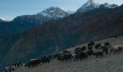 Annapurna Kopra Ridge Trek — 5