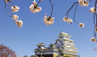 Enchanting Japan (land program only) — 3