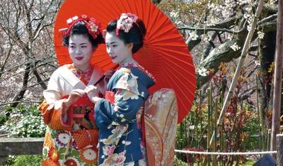 Enchanting Japan (land program only) — 4