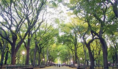 New York for Insiders (7 nights) — 2