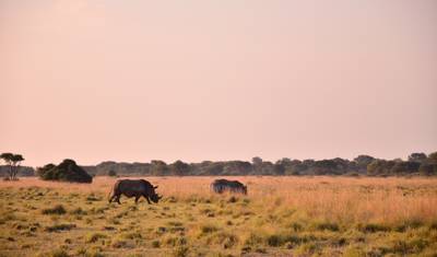 Botswana - Trans Kalahari — 3