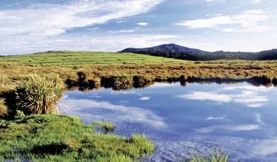 Sri Lanka's cultural highlights and the highlands (group tour) — 2