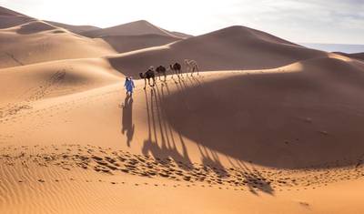 Casablanca to Marrakech: Desert Adventure Tour — 2