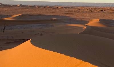 Sahara-Trekking 6 Days (Walk with nomads and camels) — 3