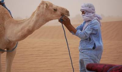 Sahara-Trekking 6 Days (Walk with nomads and camels) — 4