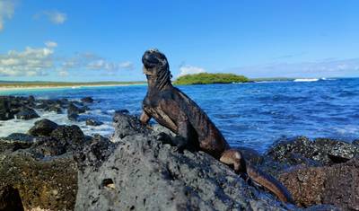 8-dniowa wycieczka po wyspach Galápagos | Wycieczka LGBTQ+ — 5