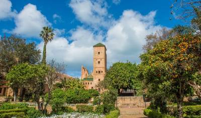 Tour Privado de 13 Dias pelas Cidades Imperiais e Deserto Deluxe de Marrocos, Partindo de Casablanca — 2