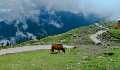Kashmir Valley Tour — 3