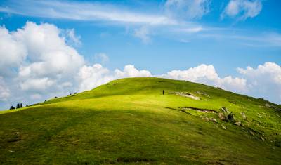 Kashmir Valley Tour — 5