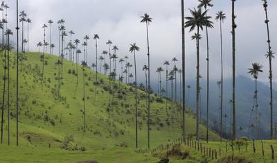 CARTAGENA إلى QUITO (21 يومًا) مغامرة كولومبية — 5