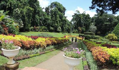 Sri Lanka Express – 6-Day Highlights Tour & South Coast Drop-Off — 4