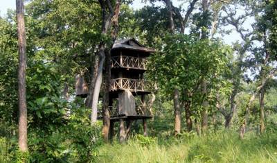 Passeio de Safári em Chitwan — 4