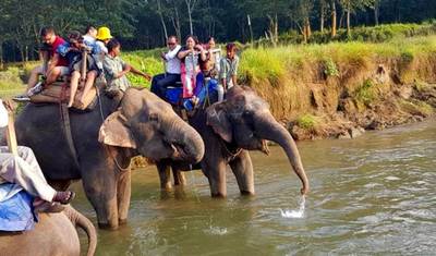 Passeio de Safári em Chitwan — 5
